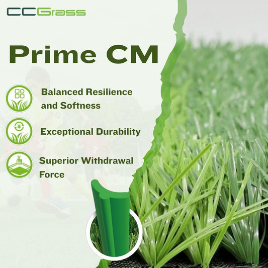 PRIME CM 12000